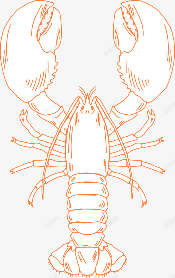 卡通装饰线条海洋生物海报大png免抠素材_新图网 https://ixintu.com 动物插画 卡通海洋生物 卡通装饰线条海洋生物海报设计大虾免费下载 大虾 广告设计 旅游宣传册设计 海报设计 简笔画线条海洋生物