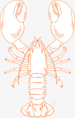 线条大虾卡通装饰线条海洋生物海报大高清图片