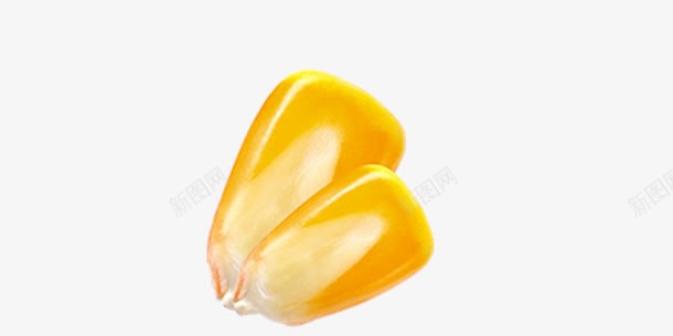 玉米粒png免抠素材_新图网 https://ixintu.com 玉米 玉米粒 秋收 苞米 黄色