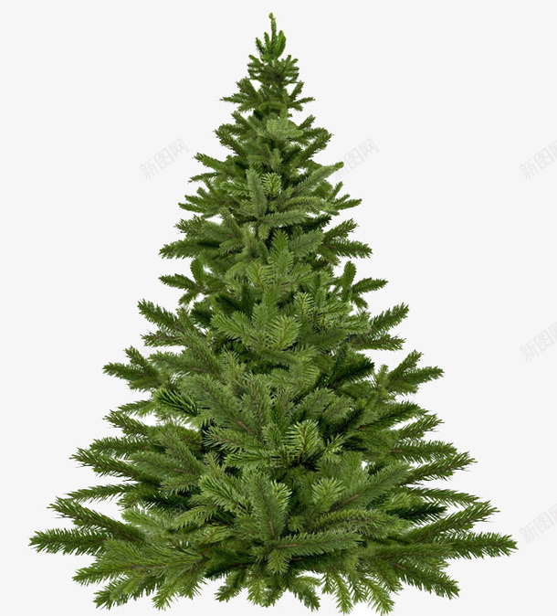 一颗圣诞树png免抠素材_新图网 https://ixintu.com png素材 简单 绿色 节日装饰 逼真