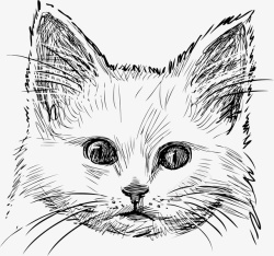 幽默创意猫头像手绘速写猫咪高清图片