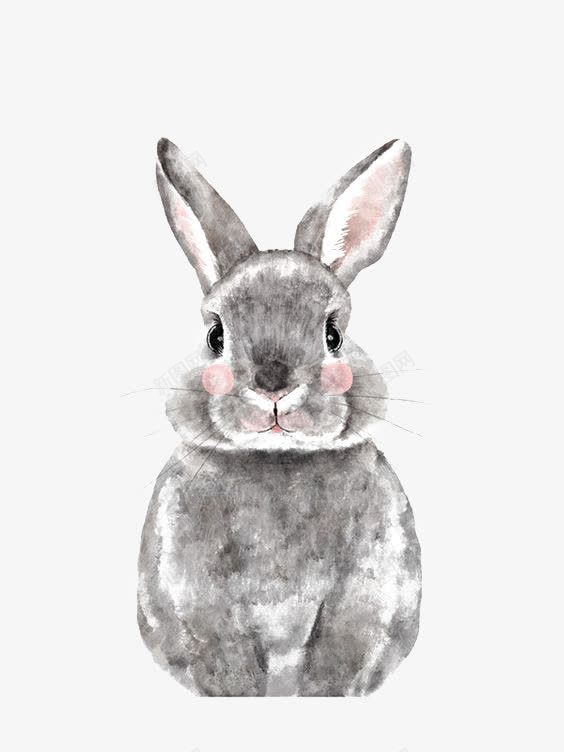 手绘动物png免抠素材_新图网 https://ixintu.com PPT 免扣PNG 创意灰兔 卡通兔子 手绘兔子 灰色兔子