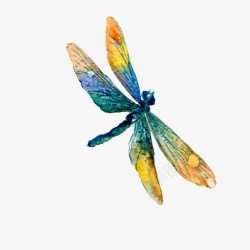 手绘水彩彩色蜻蜓素材