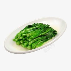 绿色素菜盘装小油菜高清图片