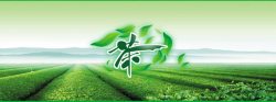 茶文化网页茶背景高清图片