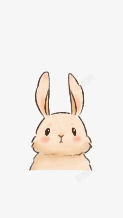 粉兔长耳朵兔子高清图片