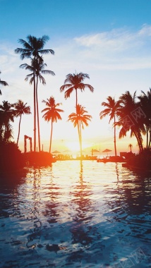 日出风景椰子树h5背景摄影图片