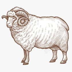 领头羊手绘写实线描羊图案高清图片