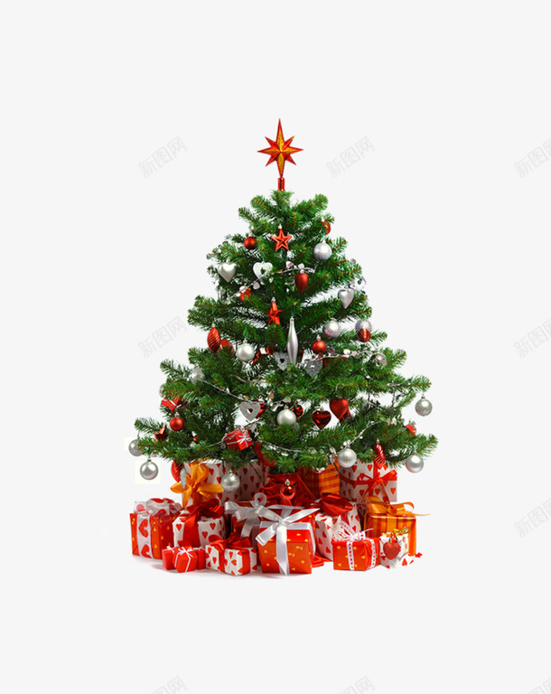 圣诞圣诞树8png免抠素材_新图网 https://ixintu.com 圣诞树 圣诞节 实物 素材