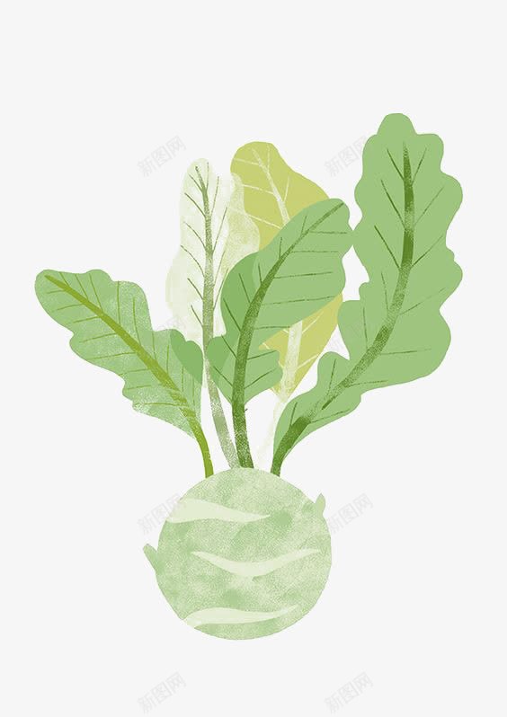 萝卜png免抠素材_新图网 https://ixintu.com 创意蔬菜 小萝卜 手绘叶片 植物 水彩叶片 绿色叶子 绿色叶片