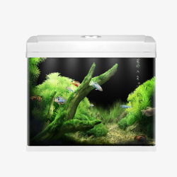家庭植物家庭式金鱼缸高清图片