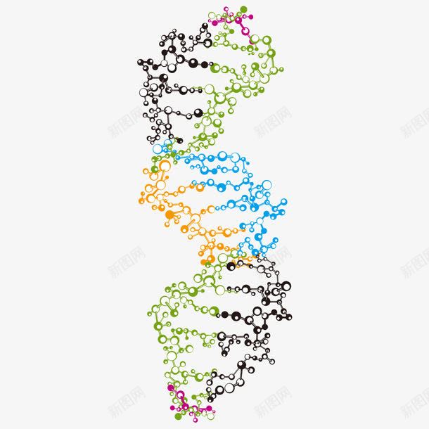 基因png免抠素材_新图网 https://ixintu.com DNA DNA双螺旋结构图片 DNA遗传基因 人类基因 医疗科学 基因 干细胞 生物学 细胞