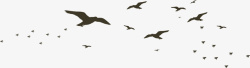 雁群成排的大雁矢量图高清图片