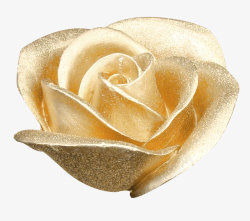 漂亮的金色漂亮金色玫瑰花高清图片