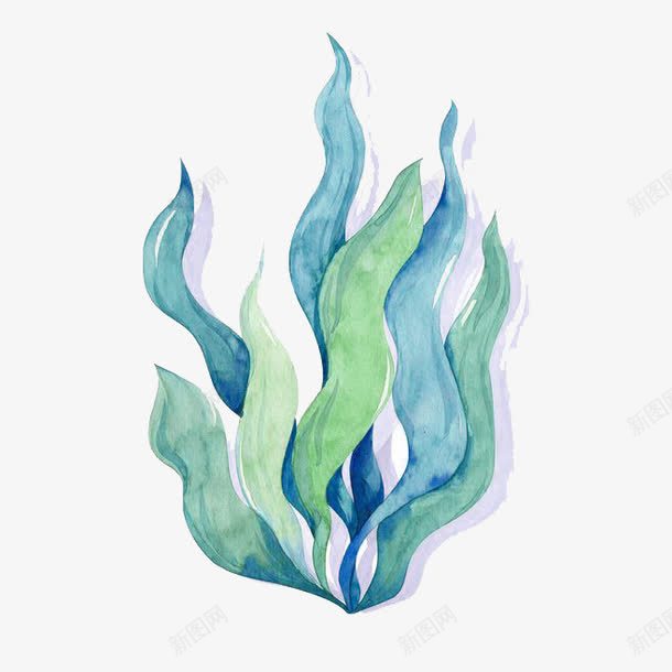 水彩海藻png免抠素材_新图网 https://ixintu.com 卡通 手绘 植物 水彩 海藻 绿色 蓝色 装饰