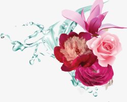 水花花朵手绘玫瑰高清图片