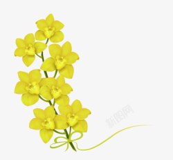 黄花植物简约彩绘小黄花高清图片