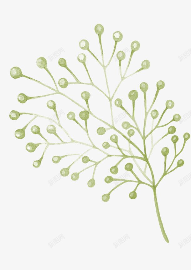 手绘水彩满天星png免抠素材_新图网 https://ixintu.com PNG 手绘 植物 水彩 满天星 满天星手绘