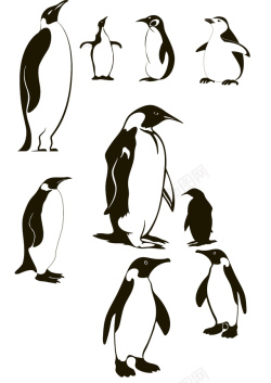 卡通企鹅形象画黑白企鹅元素高清图片