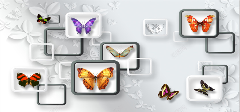 3D背景图jpg设计背景_新图网 https://ixintu.com 3D 创意 彩色蝴蝶 海报banner 立体蝴蝶 蝴蝶 设计 黑白框框