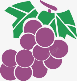 葡萄叶葡萄紫色葡萄矢量图高清图片