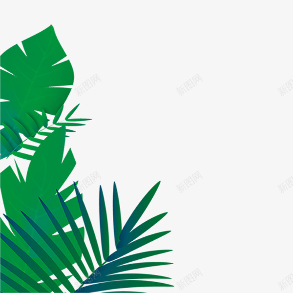 简易手绘热带雨林插图边框png免抠素材_新图网 https://ixintu.com 手绘 树叶 植物 水墨画 清新 热带雨林 自然 边框