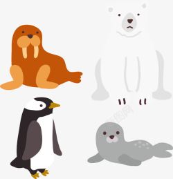 免扣海狮手绘卡通动物高清图片