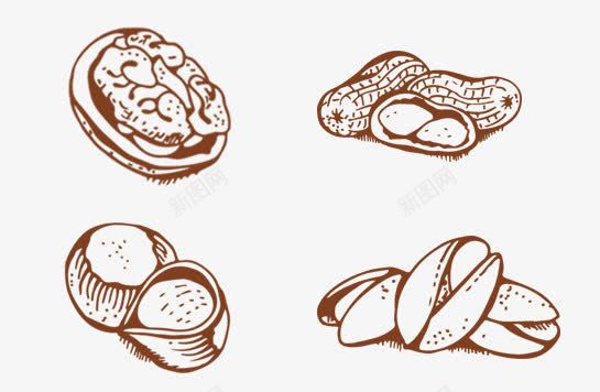 手绘坚果png免抠素材_新图网 https://ixintu.com 坚果 手绘 线条画