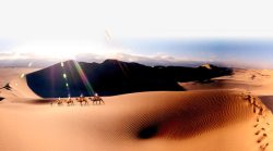 骆驼沙漠素材