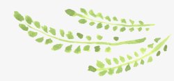 呵护生活手绘植物柳条高清图片
