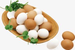 家禽蛋蛋类蛋鸡蛋高清图片