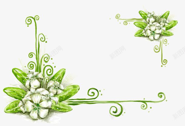 手绘白色花朵png免抠素材_新图网 https://ixintu.com 绿色边框 花朵相框 花朵背景
