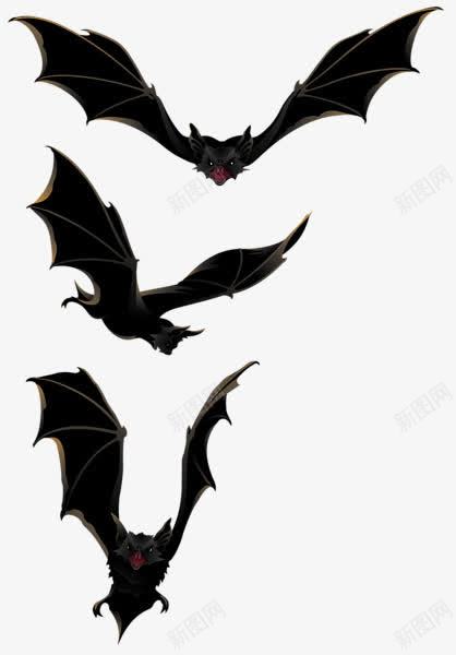 万圣节展翅飞翔的蝙蝠png免抠素材_新图网 https://ixintu.com 万圣节黑色 恐怖 蝙蝠