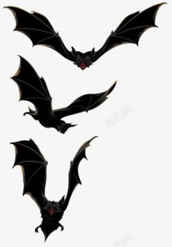 展翅的蝙蝠万圣节展翅飞翔的蝙蝠高清图片