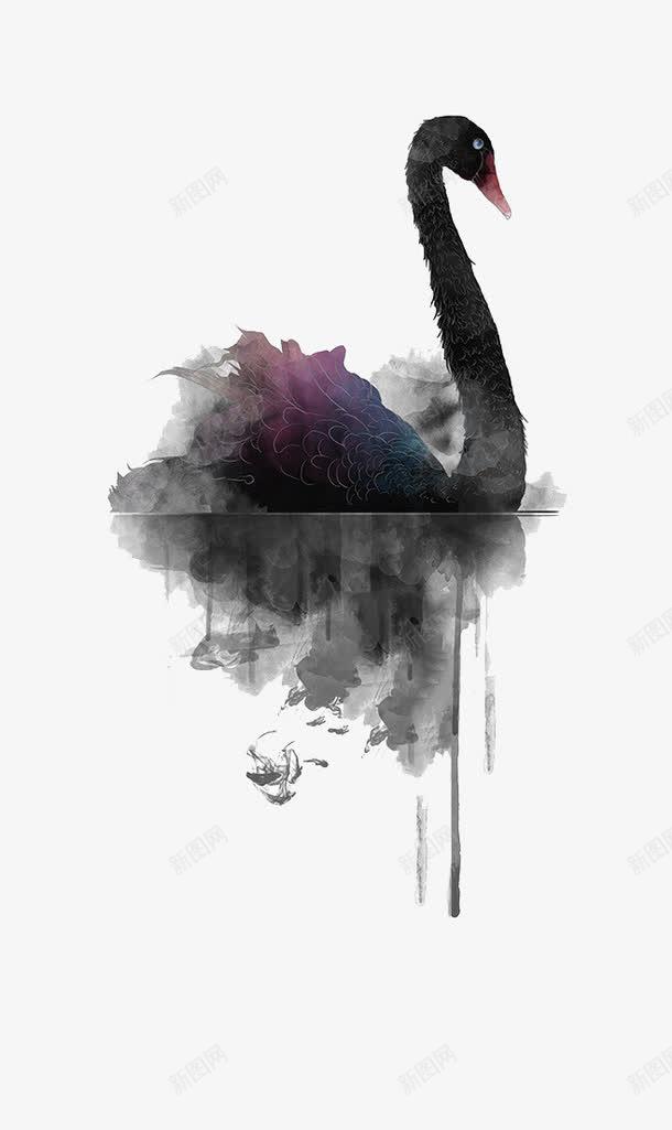 手绘黑天鹅png免抠素材_新图网 https://ixintu.com 唯美 天鹅 手绘水彩风 标签素材 黑色