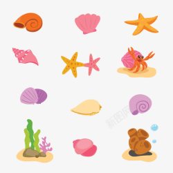 海星海贝海底世界高清图片
