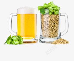 高清啤酒杯子里的啤酒麦子和酒花高清图片