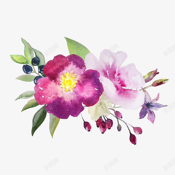紫色水彩的花朵png免抠素材_新图网 https://ixintu.com 植物 粉色花朵 紫色花朵 绿叶 绿植 花卉 花朵 花朵装饰
