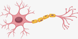 生物医学神经细胞矢量图素材