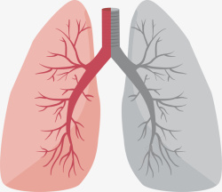 肺部健康扁平简约受伤的肺高清图片