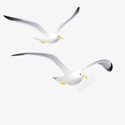 白色精致海鸥矢量白色海鸥高清图片