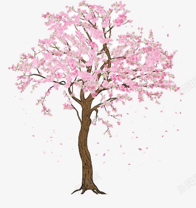 一颗卡通樱花树png免抠素材_新图网 https://ixintu.com 春天 水彩 粉色 茂盛 鲜艳