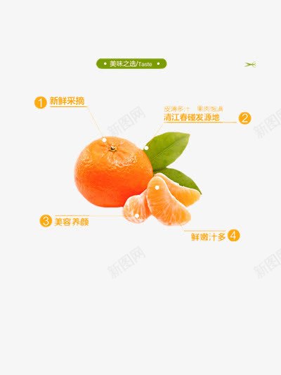 柑桔销售海报png免抠素材_新图网 https://ixintu.com 优点 多汁 好吃 好吃的水果 推荐 推销 柑橘 橘子 美味