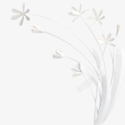 纯白色的小花边框素材