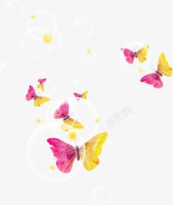 成群飞舞的鸽子彩色蝴蝶高清图片