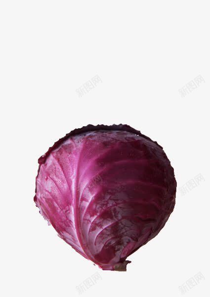 紫色包菜png免抠素材_新图网 https://ixintu.com 新鲜 紫包菜 紫圆白菜 紫甘蓝 蔬菜 食材
