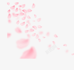 粉色浪漫飞舞花瓣素材