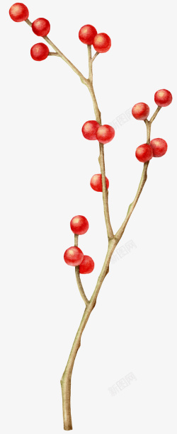 创意枯枝手绘红色果子图高清图片
