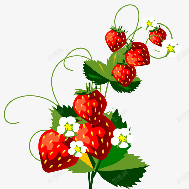 卡通草莓植物png免抠素材_新图网 https://ixintu.com 卡通 植物设计 水果设计 草莓 采摘