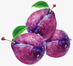 水果药材大颗紫乌梅高清图片